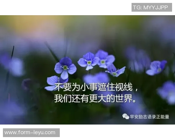 篮球明星励志语录精选英语版激励你追逐梦想与成功